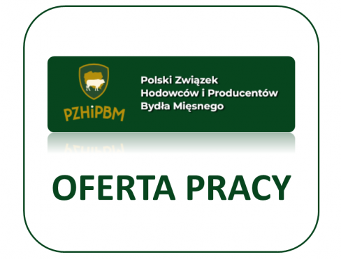 grafika ozdobna