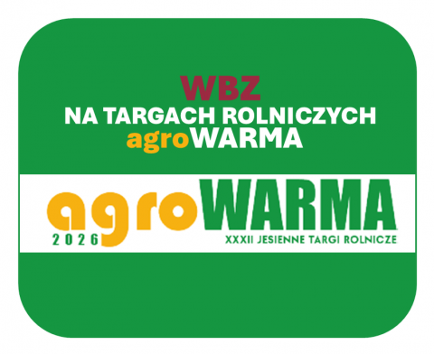 grafika ozdobna