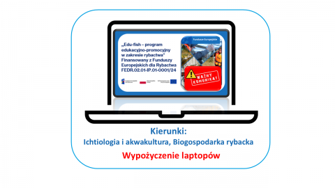 grafika ozdobna