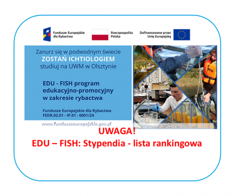 grafika ozdobna