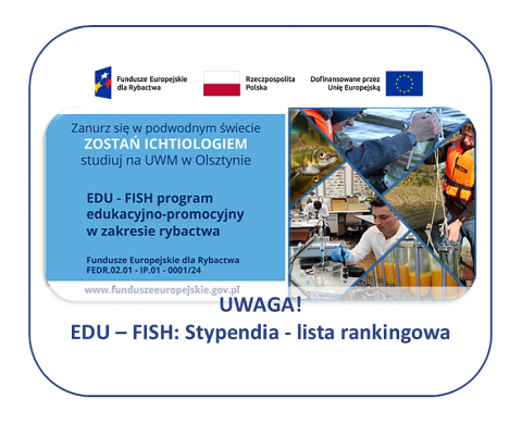 grafika ozdobna