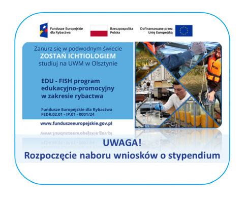 grafika ozdobna