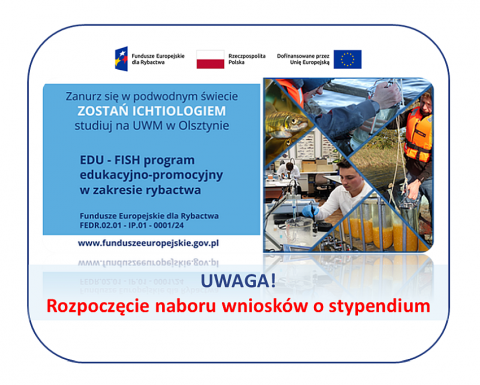 grafika ozdobna