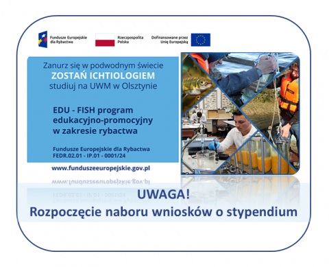 grafika ozdobna