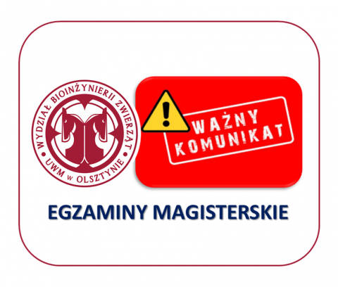 Egzaminy magisteskie - grafika ozdobna