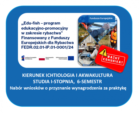 grafika ozdobna
