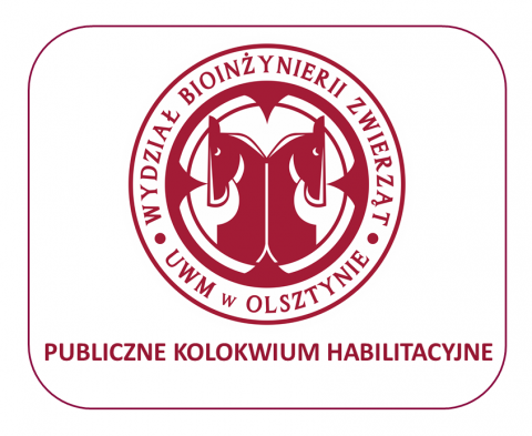 grafika ozdobna