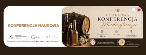 Grafika informacyjna