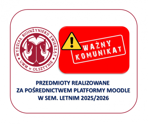 grafika ozdobna