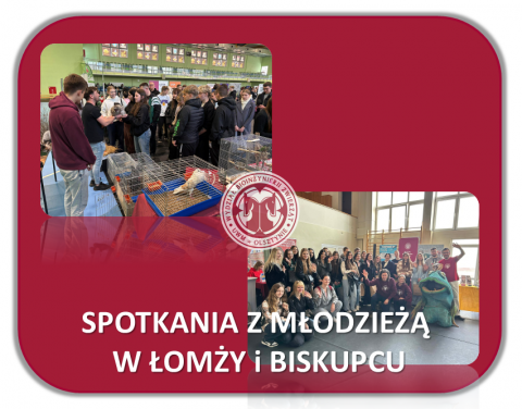 grafika ozdobna