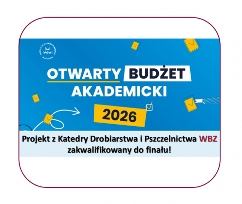 grafika ozdobna