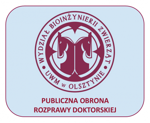 grafika ozdobna