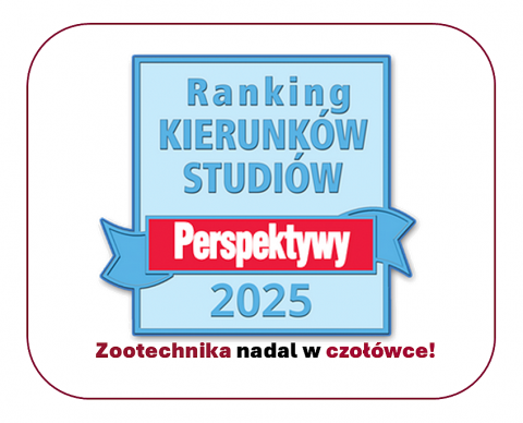 grafika ozdobna