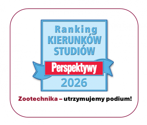 grafika ozdobna