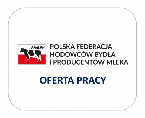 grafika ozdobna