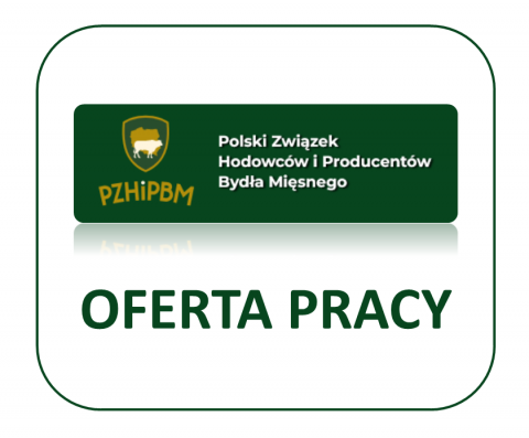 grafika ozdobna