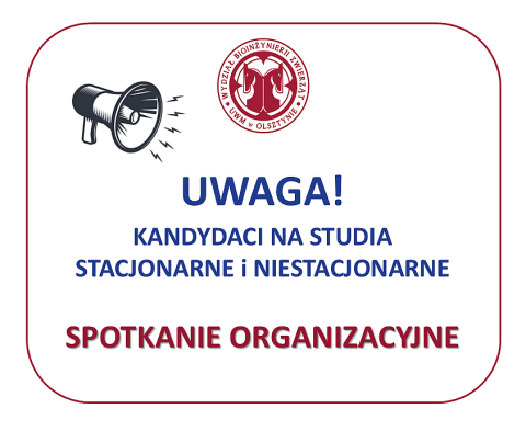 grafika ozdobna