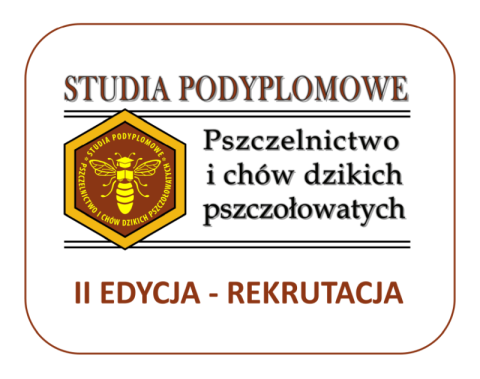 grafika ozdobna