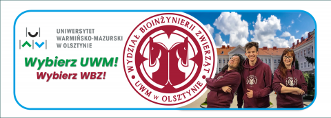 grafika ozdobna