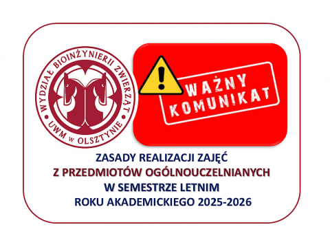 grafika ozdobna