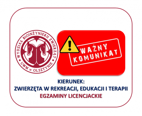 ZREiT- egzaminy licencjackie - grafika ozdobna