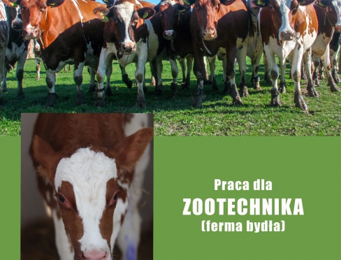 ferta pracy - Ośrodek Hodowli Zarodowej "Głogówek" Sp. z o.o.