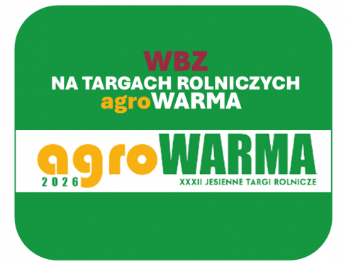 grafika ozdobna