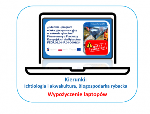 grafika ozdobna