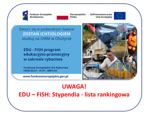 grafika ozdobna