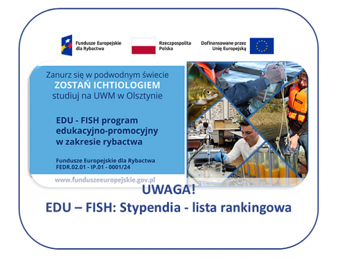 grafika ozdobna