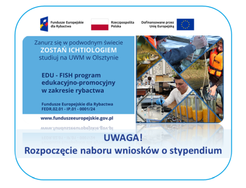 grafika ozdobna