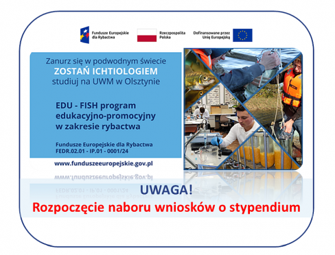 grafika ozdobna