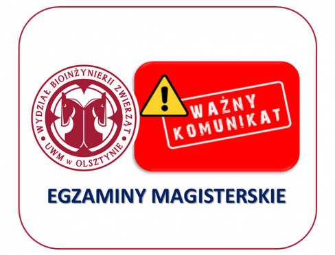Egzaminy magisteskie - grafika ozdobna