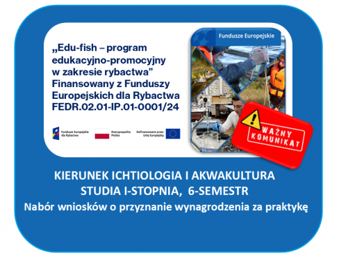 grafika ozdobna