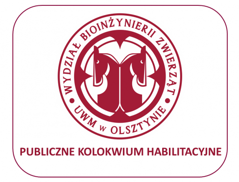 grafika ozdobna