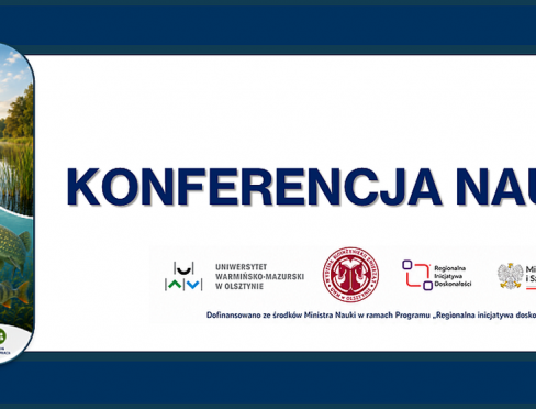 grafika informacyjna