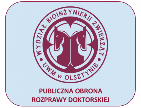 grafika ozdobna
