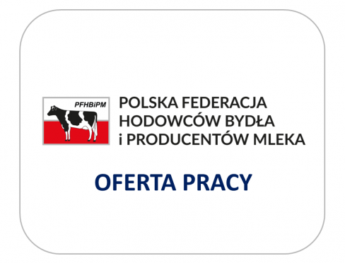 grafika ozdobna