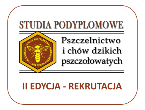 grafika ozdobna