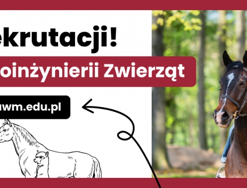 grafika ozdobna