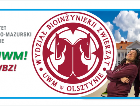 grafika ozdobna