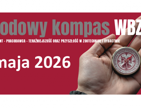 grafika ozdobna