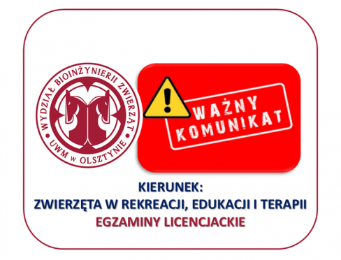 ZREiT- egzaminy licencjackie - grafika ozdobna
