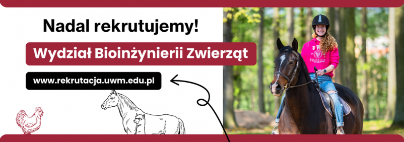 grafika ozdobna