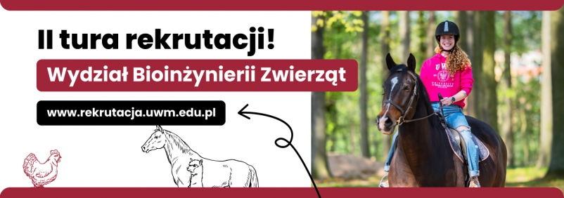 grafika ozdobna