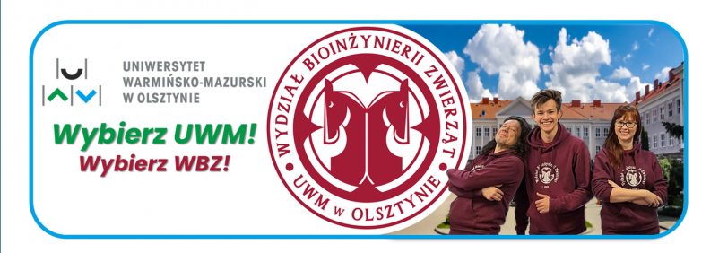 grafika ozdobna