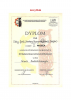 Dyplom 2015