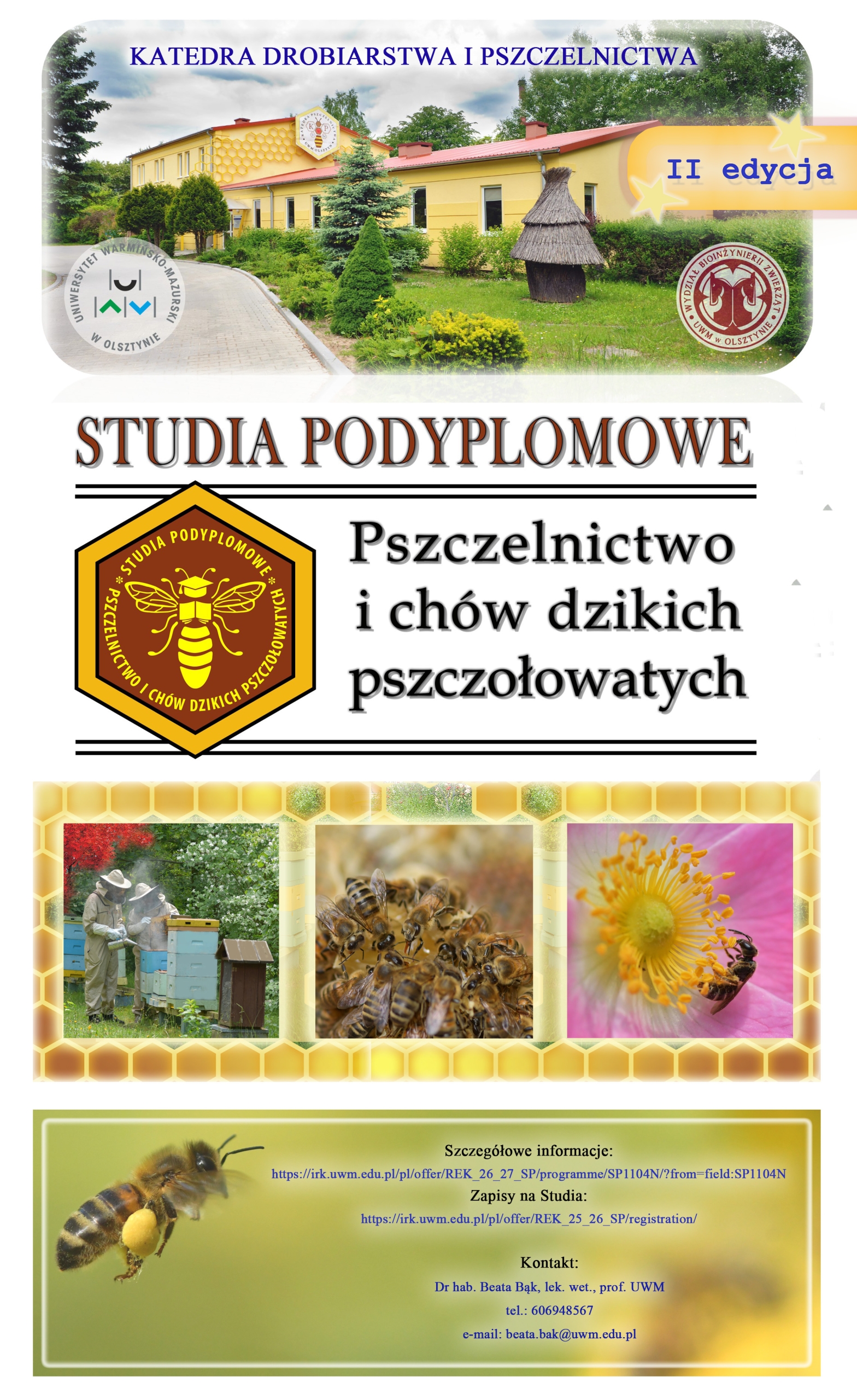 grafikainformacyjna o studiach podyplomowych