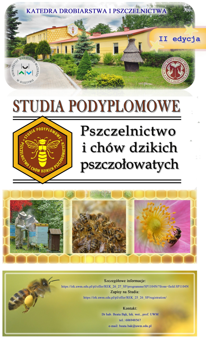 Grafika informacyjna o studiach podyplomowych