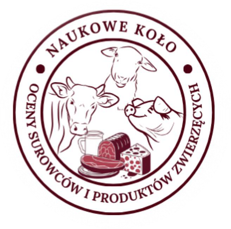 Aktualne logo NKOSiPZ